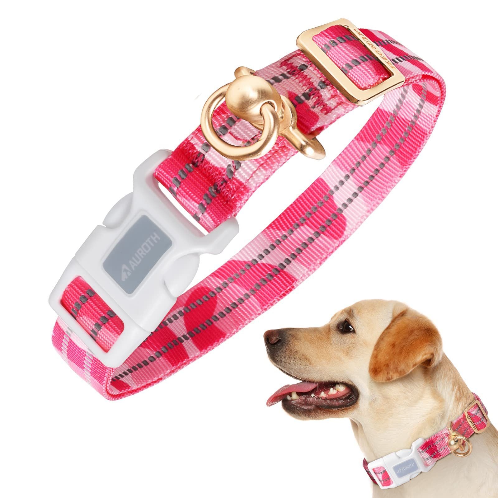 SecureFit Anti-Lost Silicone Pet Collar - Woofcuties