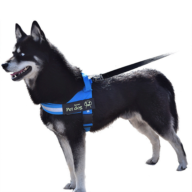 WoofCuties Regal Chain Vest Leash - Woofcuties