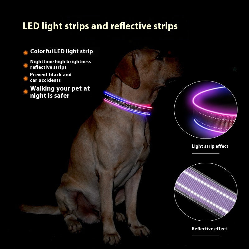 Radiant LED Luminous Dog Collar - Woofcuties