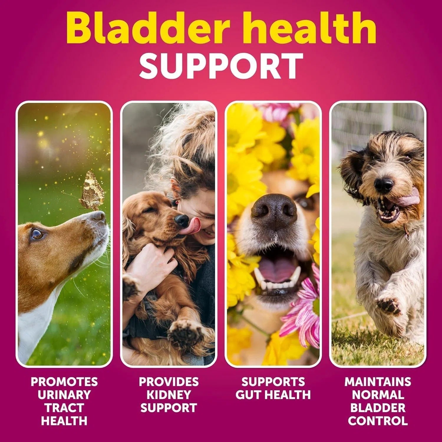 Cranberry UTI Relief Chews - Premium Bladder and Kidney Support for Dogs - Woofcuties