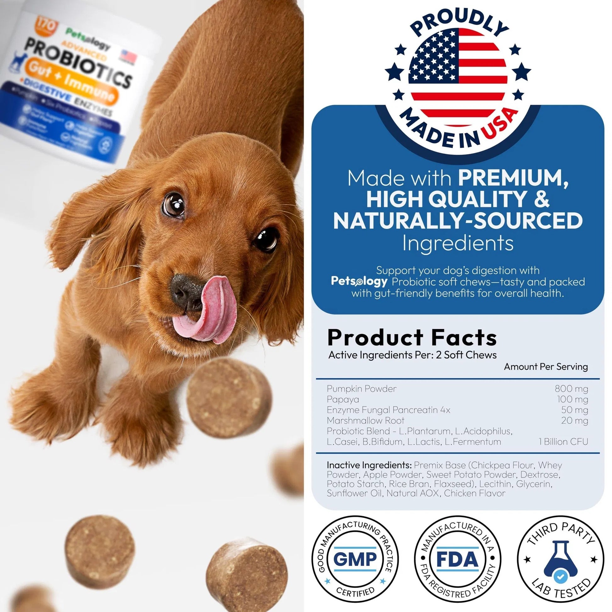 Deluxe Dog Probiotic Chews - Premium Digestive Health Support with Enzymes - Woofcuties