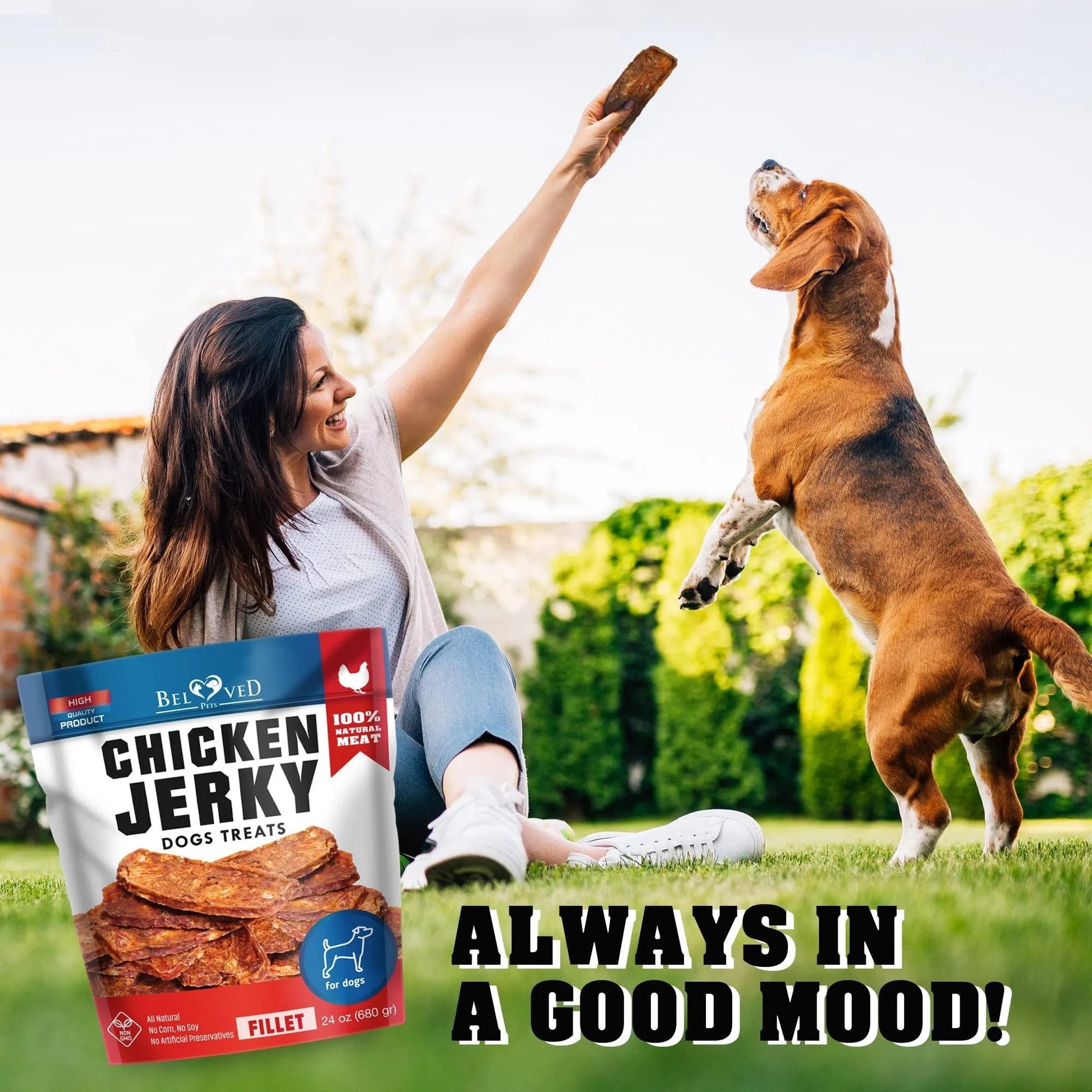 Premium Chicken Jerky Dog Treats - High-Grade Protein Chews - Woofcuties