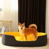 Buy best dog bed on woofcuties.com