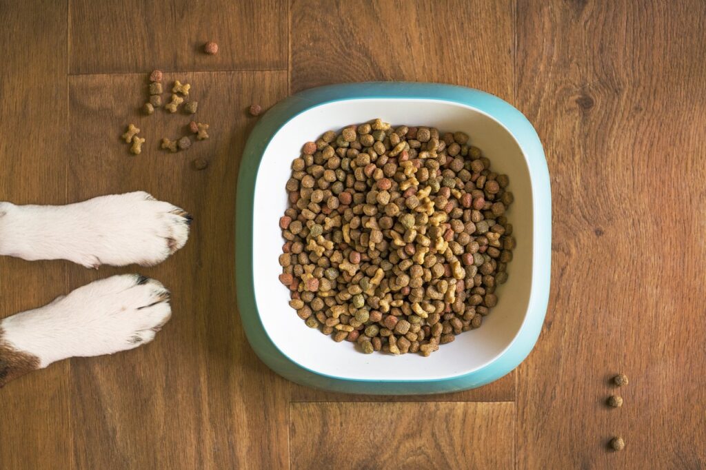 dog-food-bowl -woofcuties.com