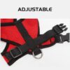 Buy Cat Harness and Leash Set on woofcuties.com