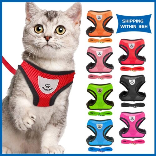 Buy Cat Harness and Leash Set on woofcuties.com