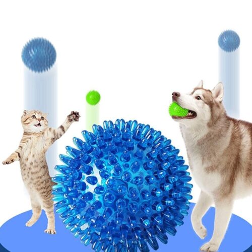 Buy best Squeaky Dog Ball on woofcuites.com