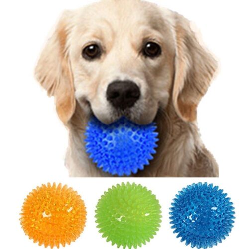 Buy best Squeaky Dog Ball on woofcuites.com