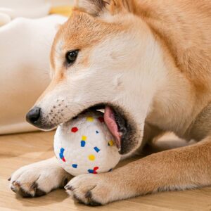 Buy Molar Training Dog Toy Ball on woofcuties.com